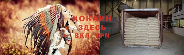 дживик Алексин
