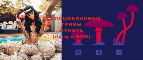 дживик Алексин